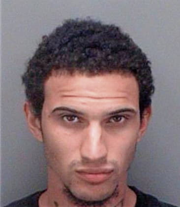 Eric Cruzhernandez, - Pinellas County, FL 