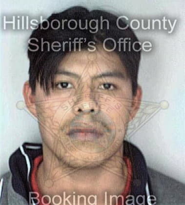 Antonio Lopez, - Hillsborough County, FL 