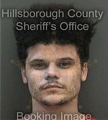 Ryan Mateja, - Hillsborough County, FL 