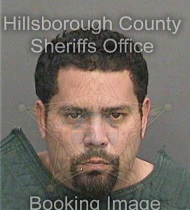 Fabian Carreramartinez, - Hillsborough County, FL 