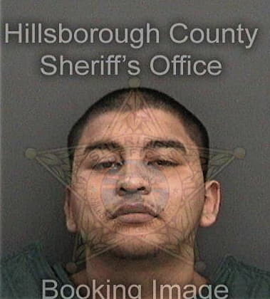 Ryan Garcia, - Hillsborough County, FL 