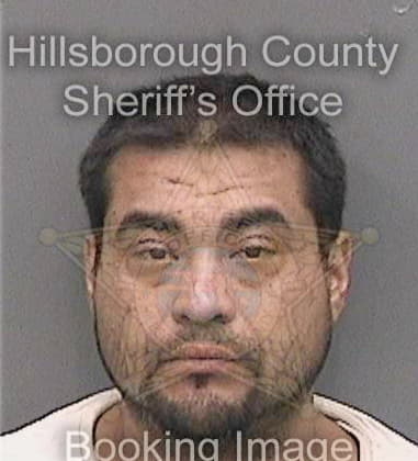 Michael Grimshaw, - Hillsborough County, FL 