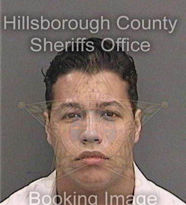 Robert Ivester, - Hillsborough County, FL 