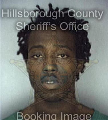 Arthur McDaniels - Hillsborough County, FL 