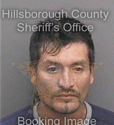 Lester Newberry, - Hillsborough County, FL 