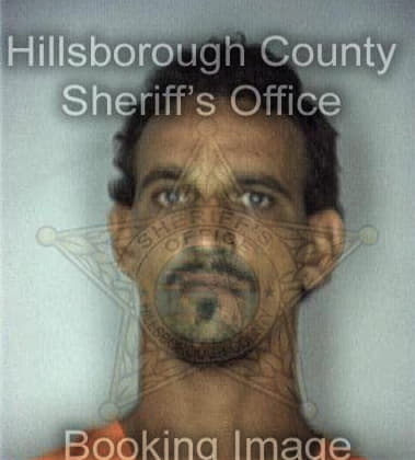 Edward Silva, - Hillsborough County, FL 