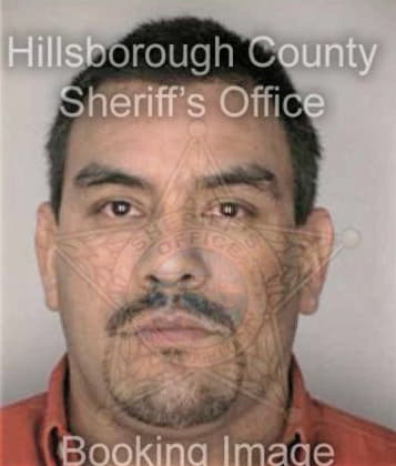 Michael Bowen - Hillsborough County, FL 