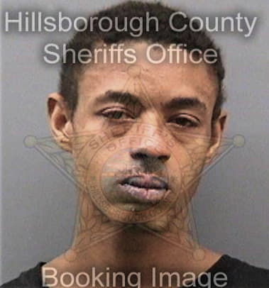David Brim - Hillsborough County, FL 