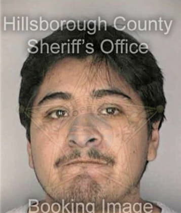 Enrique Garcia, - Hillsborough County, FL 