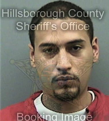Cody Hibbs - Hillsborough County, FL 
