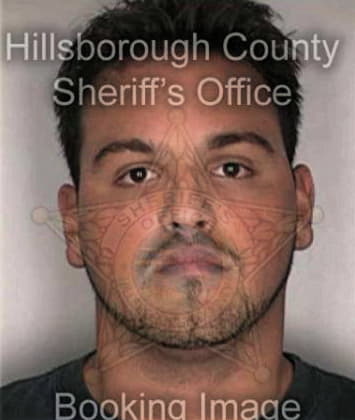 Jose Moya, - Hillsborough County, FL 