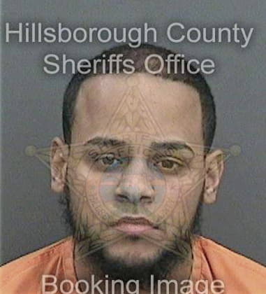 William Purcell, - Hillsborough County, FL 