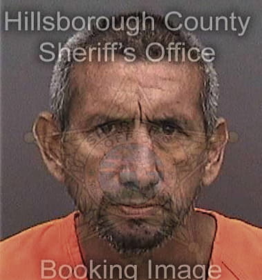 Tyler Robertson - Hillsborough County, FL 