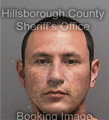 Damien Rollins, - Hillsborough County, FL 