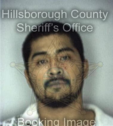 John Spartichino, - Hillsborough County, FL 