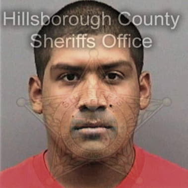 Alain Vazquez, - Hillsborough County, FL 