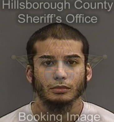 Anthony Wolfe, - Hillsborough County, FL 