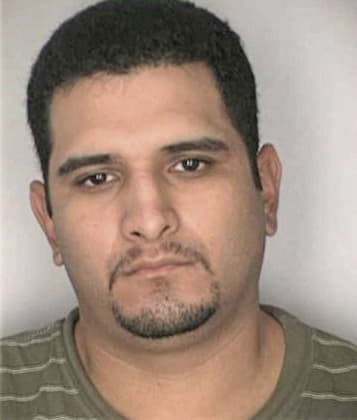 Enrique Alicea, - Hillsborough County, FL 