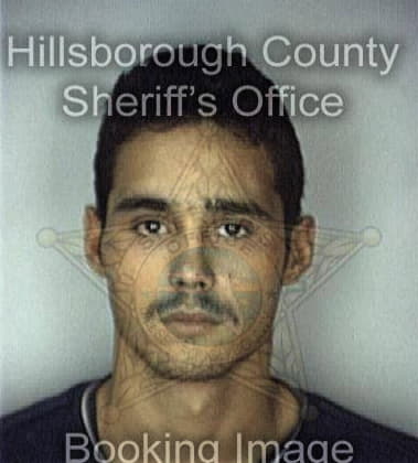 Danny Benefiel, - Hillsborough County, FL 