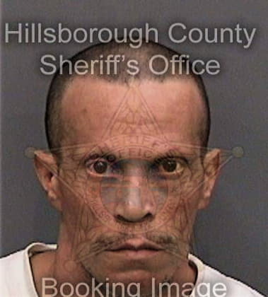Richard Briggs - Hillsborough County, FL 