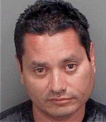 Gerardo Carranza, - Pinellas County, FL 