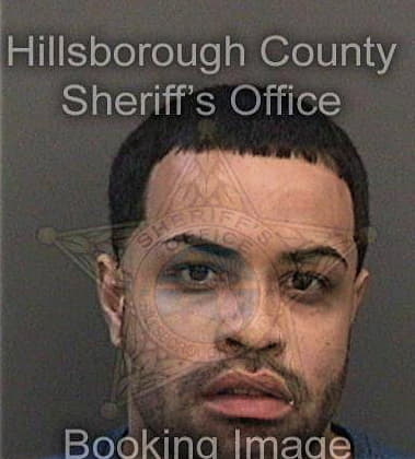 Scott Hamilton, - Hillsborough County, FL 