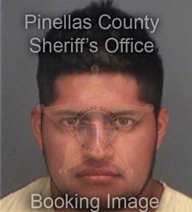 Gregory Rodriguez, - Pinellas County, FL 