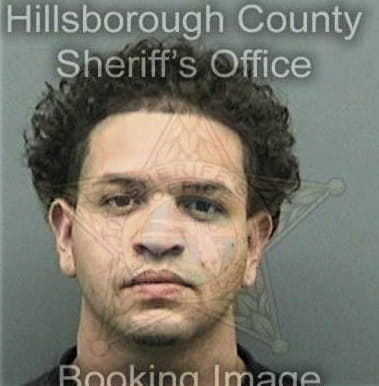 Christopher Sears, - Hillsborough County, FL 