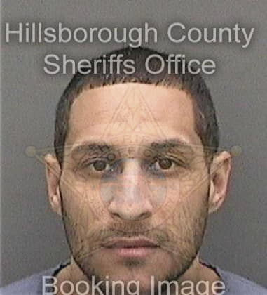 David Delpino, - Hillsborough County, FL 