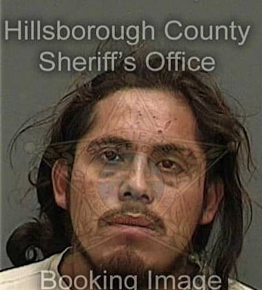 Antony Dreibelbeis, - Hillsborough County, FL 