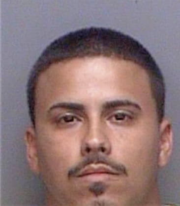 Ricardo Lopezsanchez, - Pinellas County, FL 