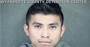 Juan Lozoya-Fernandez, - Wyandotte County, KS 