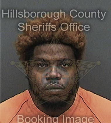 Deandre Reese, - Hillsborough County, FL 