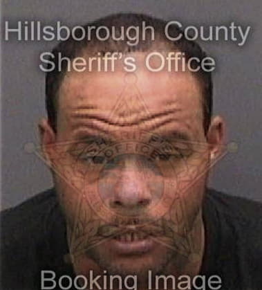 Kenneth Robertson - Hillsborough County, FL 