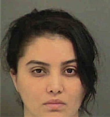 Francisca Rosada - Mecklenburg County, NC 