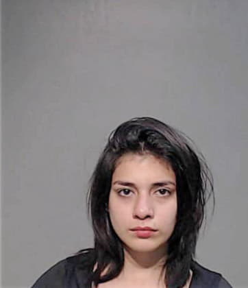 Cynthia Sanchez, - Hidalgo County, TX 