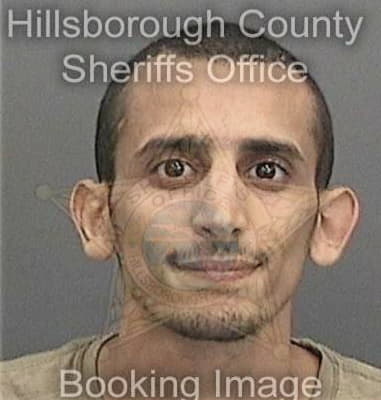 Damian Sierra, - Hillsborough County, FL 