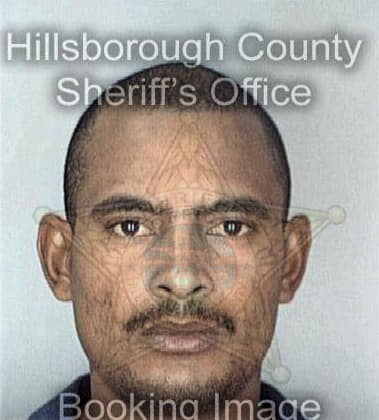 Michael Timmons, - Hillsborough County, FL 