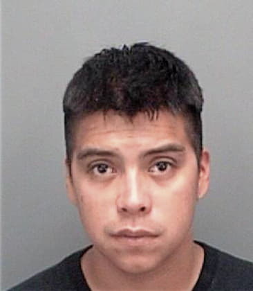 Aldo Murillo, - Pinellas County, FL 