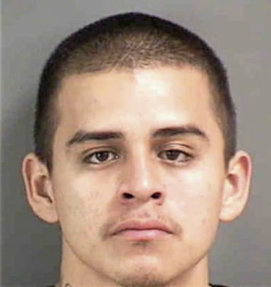 Adolfo Rojas, - Collier County, FL 