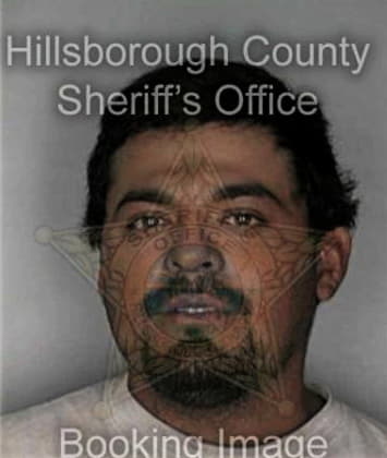 Oswaldo Alejo, - Hillsborough County, FL 