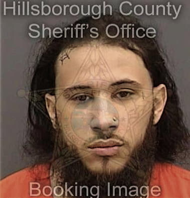 Ludwin Borgen - Hillsborough County, FL 