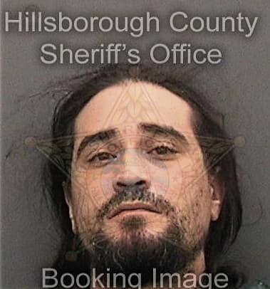 Jeance Colinaenriquez - Hillsborough County, FL 