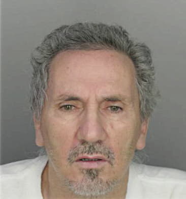 Christopher McLendon - Hillsborough County, FL 