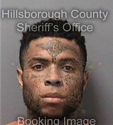 Bladimir Silverio, - Hillsborough County, FL 