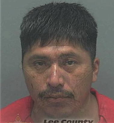 Manuel Tomas-Pablo, - Lee County, FL 