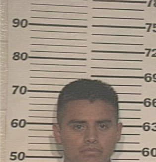 Aaron Trevino, - Hidalgo County, TX 