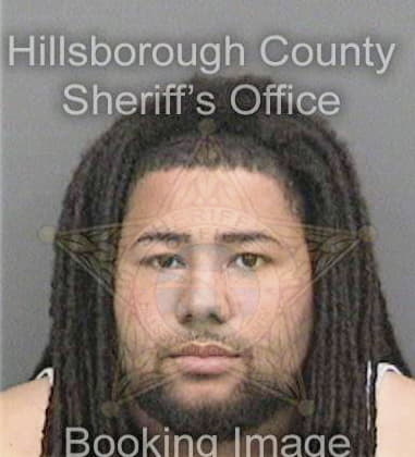 Patrick Viverette, - Hillsborough County, FL 