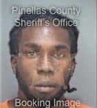 James Lang, - Pinellas County, FL 