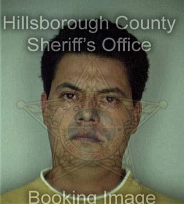 Victor Barrera, - Hillsborough County, FL 